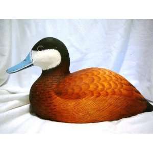  12 Ruddy Duck,handcarved,signed by artist