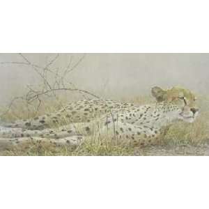  Robert Bateman   Londolosi Cheetah Artists Proof Canvas 