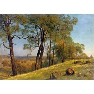  Oil Painting Landscape, Rockland County, California 