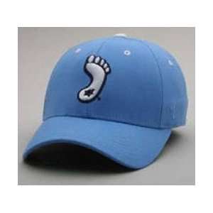   Tar Heels FOOT Light Blue ZHS Flex Fit Hat