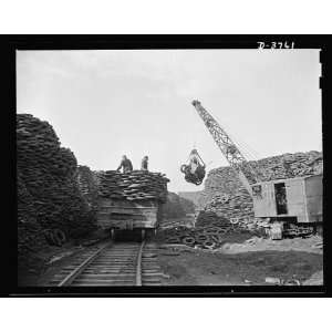 reclamation. Scrap tires mobilized for Victory. Millions of discarded 