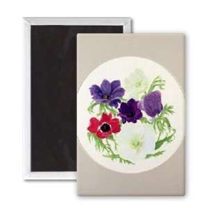  Anemones by Frances Buckland   3x2 inch Fridge Magnet 