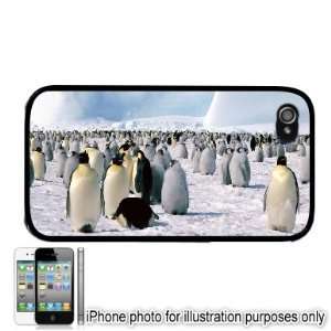   Penguins Photo Apple iPhone 4 4S Case Cover Black 