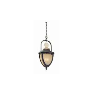  Hillcrest Traditional Outdoor Pendant Light   11.5 inches 