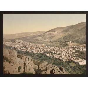 Photochrom Reprint of The vale of Napulus, i.e., Nablus, Holy Land