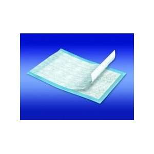 Sca Hygiene Products   Case Of 75 Provide« Premium Underpad SCT61312
