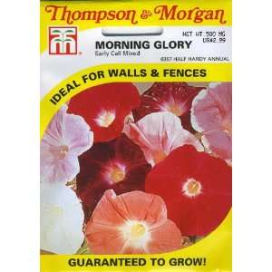   & Morgan 6357 Morning Glory Early Call Mixed (Ipomoea) Seed Packet