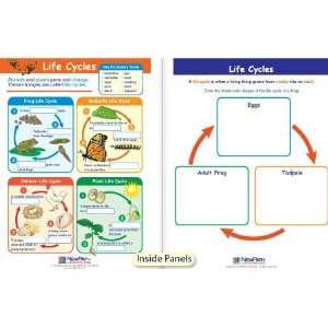   Life Cycles Visual Learning Guide Science Gr K 2 By New Path Learning