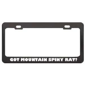 Got Mountain Spiny Rat? Animals Pets Black Metal License Plate Frame 