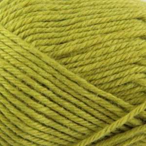  Elsebeth Lavold Cool Wool [Peridot Green] Arts, Crafts 