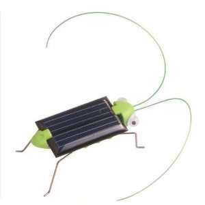 Mini Solar Grasshopper Toy Toys & Games