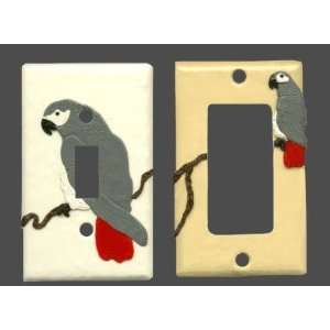 African Gray Switchplate by Joan
