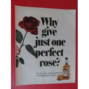   1972 Print Ads (one perfect rose) original vintage Magazine print Art