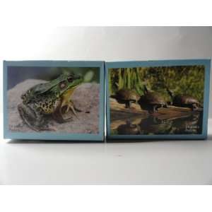 Double Sided Mini 24 Piece Puzzle   Turtles on One Side, Frog on One 