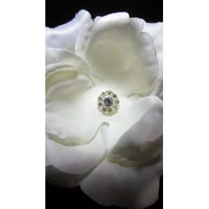  White Rose Flower Headband Beauty