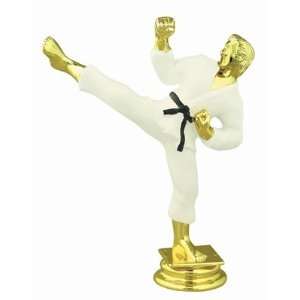 Color 5.25 Male Karate Trophy Figure Trophy Toys & Games