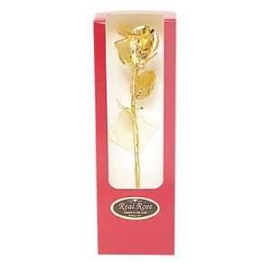  24K Gold Dipped Real Roses   Open Bud 