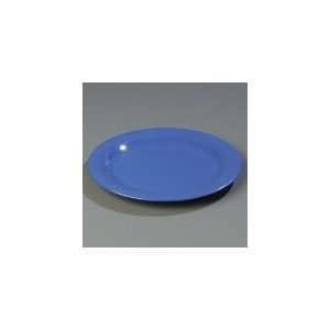   Rim 10.5 in Melamine Dinner Plate, NSF, Ocean Blue