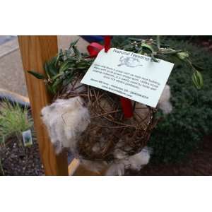  Natural Wool Bird Nesting Ball Safe & Effective way to attract birds 