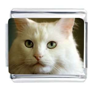  White Cat Photo Face Gift Italian Charm Pugster Jewelry