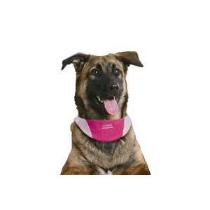   Puppy Bandanna Small   Pink Clothing Clothes Cooling