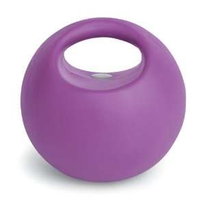Valeo 3 Pound Weighted Handle Ball 