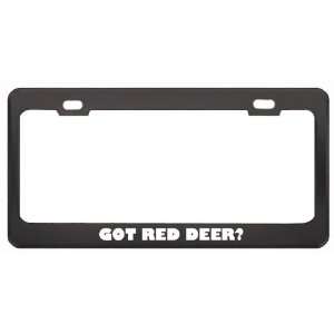  Red Deer? Animals Pets Black Metal License Plate Frame Holder Border 