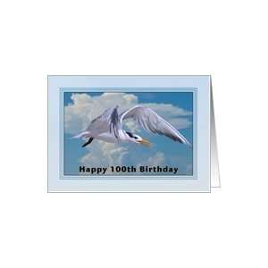  Happy Birthday, 100th, Royal Tern Bird Card Toys & Games