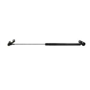   Hyundai Excel Hatch Lift Support (R) 1990 94, Pack of 1 Automotive