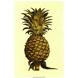  Sepia Pineapple (H) I   Poster by Vision studio (9x16 