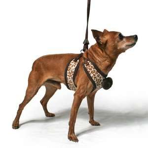  Easy Go Leopard Dog Harness S 