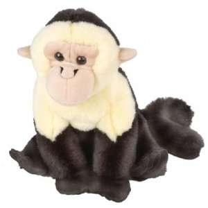  Plush White Faced Capuchin Cuddlekin 12 Toys & Games