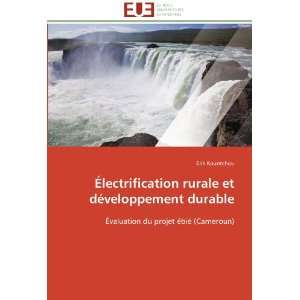  Électrification rurale et développement durable 