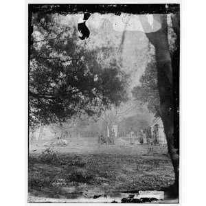 Civil War Reprint Port Royal Island, South Carolina. View on Mills 