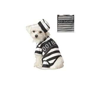 Dickens Closet Inmate Halloween Costume for Dogs (x small)  
