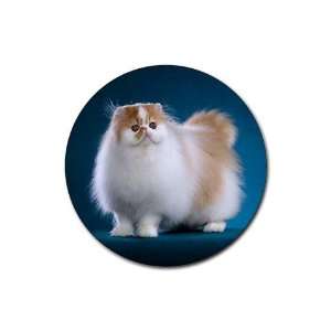  Persian Cat Round Rubber Coaster set 4 pack Great Gift 
