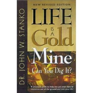 com Life Is A Goldmine Can You Dig It? A Practical Guide to Help You 