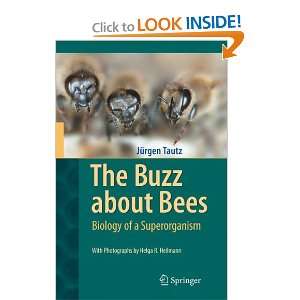  THE BUZZ ABOUT BEES (9783642097508) Books