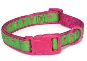 Zack & Zoey Resort Dog Collar Flamingo Nylon Pink Green  