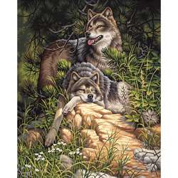   Wild and Free Wolves Paint By Number Kit (16 x 20)  