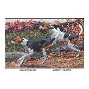  Vintage Art English Foxhound and American Foxhound   11823 