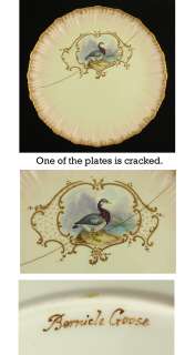 12 BODLEY HAND PAINTED GAME BIRD PORCELAIN PLATES  