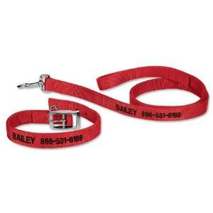 Personalized Buckle Collar And Lead / 16 Collar, Red  