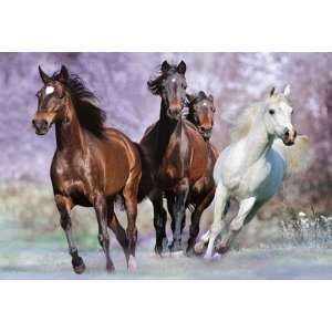 1,000 Piece Puzzle   At Full Gallop Toys & Games