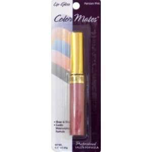    Color Mates Lip Gloss Bronze Berry 0.27 oz. (4 Pack) Beauty