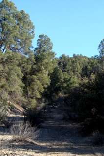 GOLDWATER PLACER GOLD MINING PROJECT FOR SALE  