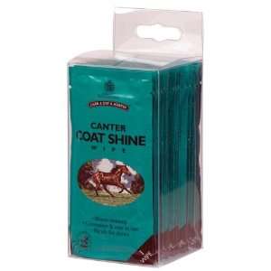  Carr & Day & Martin Horse Canter Coat Shine Wipes   15 