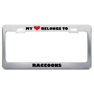 My Heart Belongs To Raccoons Animals Metal License Plate Frame Holder 