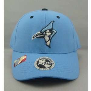  Johns Hopkins Blue Jays NCAA Adult Wool 1 Fit Hat Sports 