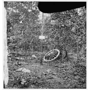  Civil War Reprint Atlanta, Georgia vicinity. Spot in woods 